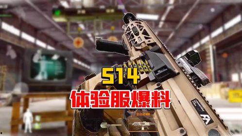 体验服暗区突围最新爆料,神秘暗区玩法大揭秘！