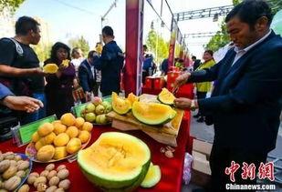 邵阳最新吃瓜爆料事件,神秘事件背后真相揭晓！